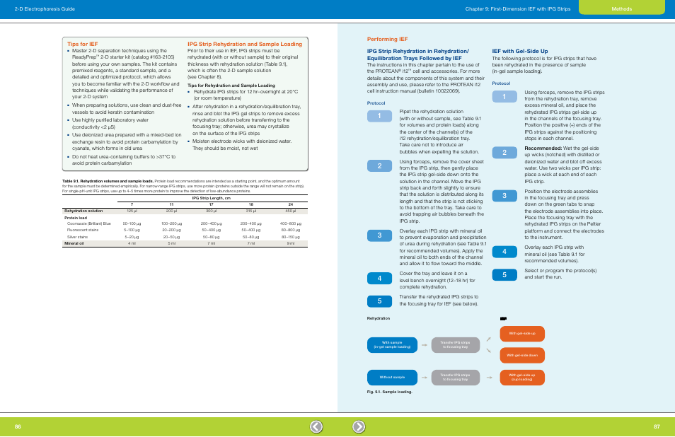 Tips for ief, Ipg strip rehydration and sample loading, Performing ief | Followed by ief, Ief with gel-side up | Bio-Rad GS-900™ Calibrated Densitometer User Manual | Page 45 / 72