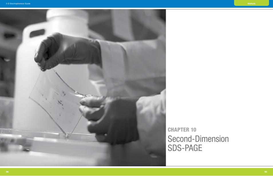 Second-dimension sds-page, Chapter 10 | Bio-Rad GS-900™ Calibrated Densitometer User Manual | Page 49 / 72