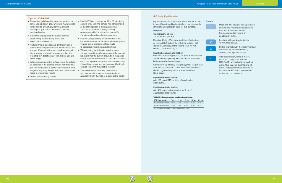 Ipg strip equilibration, Tips for sds-page | Bio-Rad GS-900™ Calibrated Densitometer User Manual | Page 50 / 72
