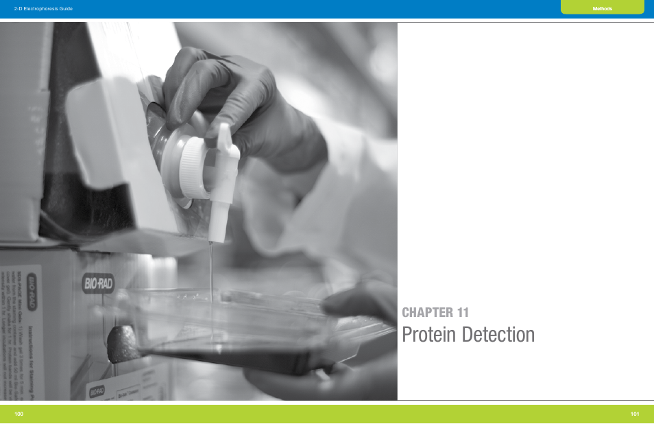 Chapter 11 protein detection, Protein detection, Chapter 11 | Bio-Rad GS-900™ Calibrated Densitometer User Manual | Page 52 / 72