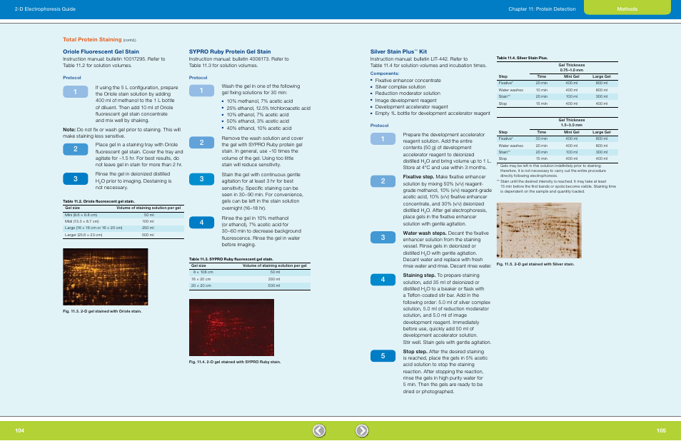 Oriole fluorescent gel stain, Sypro ruby protein gel stain, Silver stain plus kit | Silver stain plus, Total protein staining | Bio-Rad GS-900™ Calibrated Densitometer User Manual | Page 54 / 72