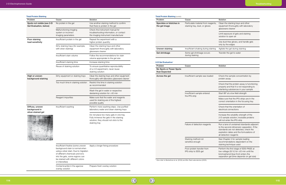 Total protein staining, D gel evaluation | Bio-Rad GS-900™ Calibrated Densitometer User Manual | Page 59 / 72