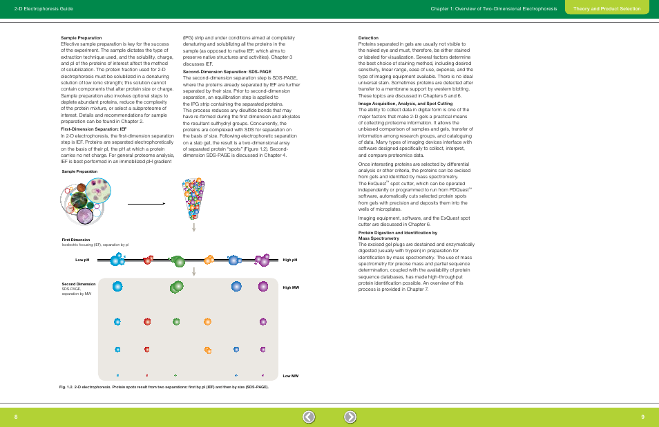 Sample preparation, First-dimension separation: ief, Detection | Image acquisition, analysis, and spot cutting | Bio-Rad GS-900™ Calibrated Densitometer User Manual | Page 6 / 72