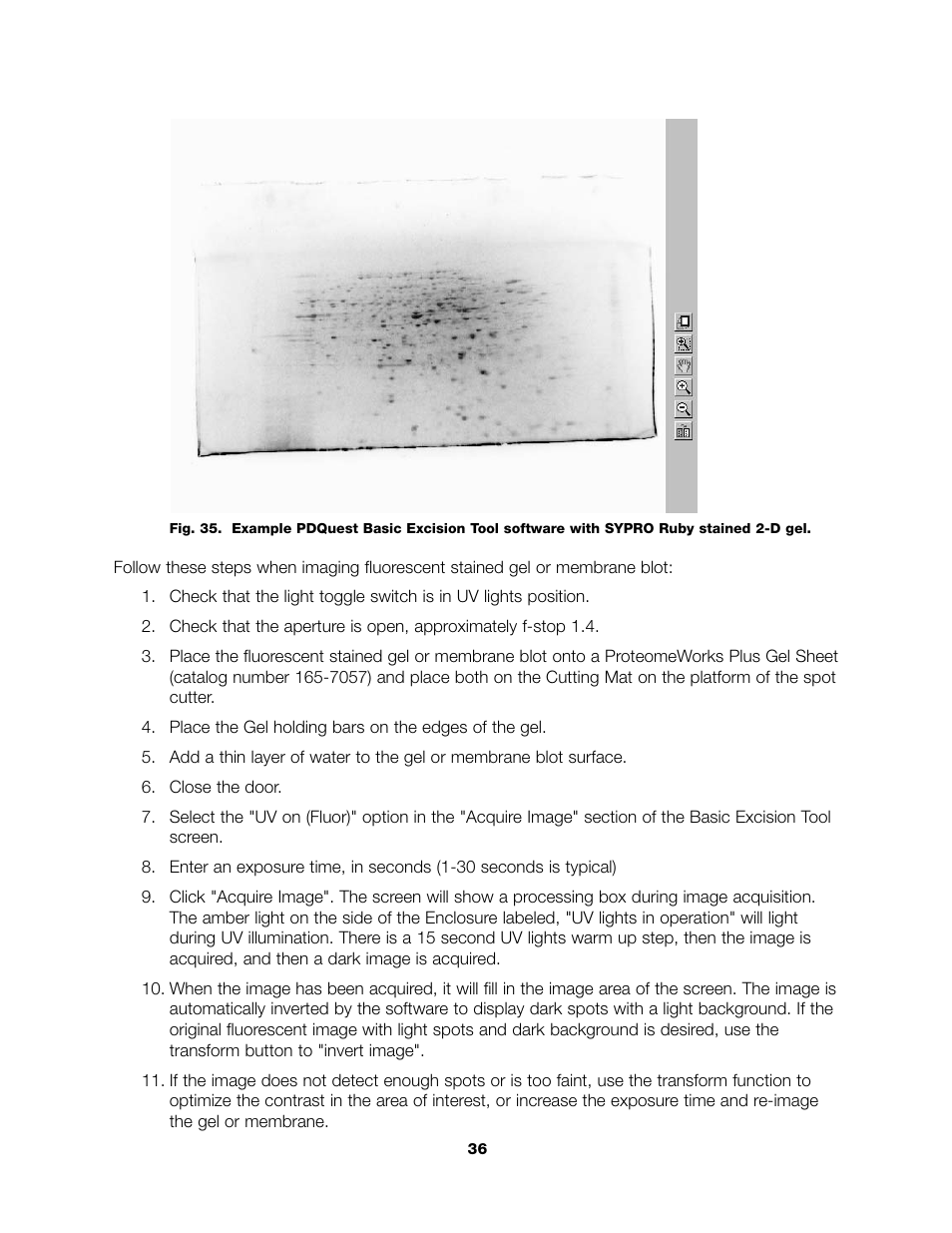 Bio-Rad PDQuest 2-D Analysis Software User Manual | Page 39 / 66