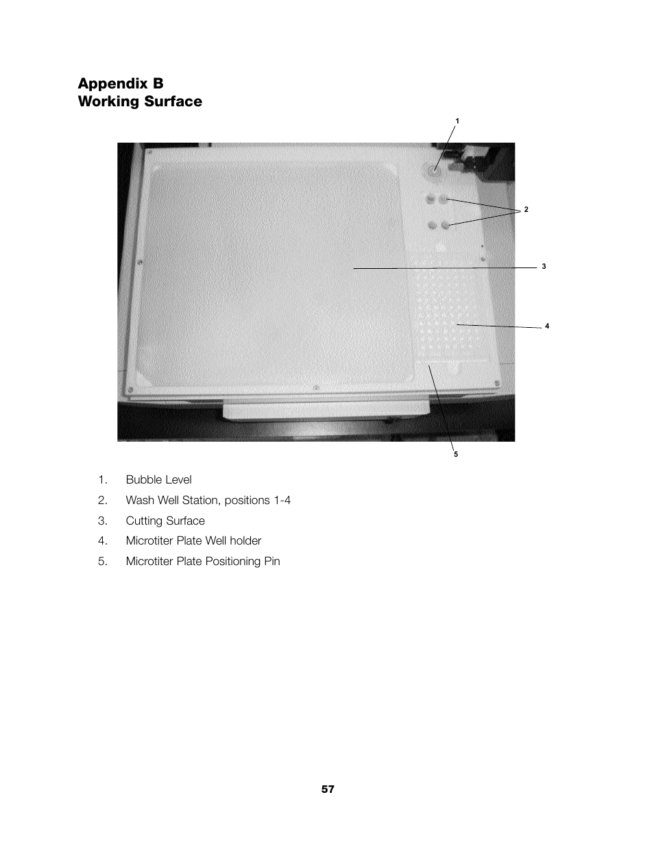 Appendix b working surface | Bio-Rad PDQuest 2-D Analysis Software User Manual | Page 60 / 66