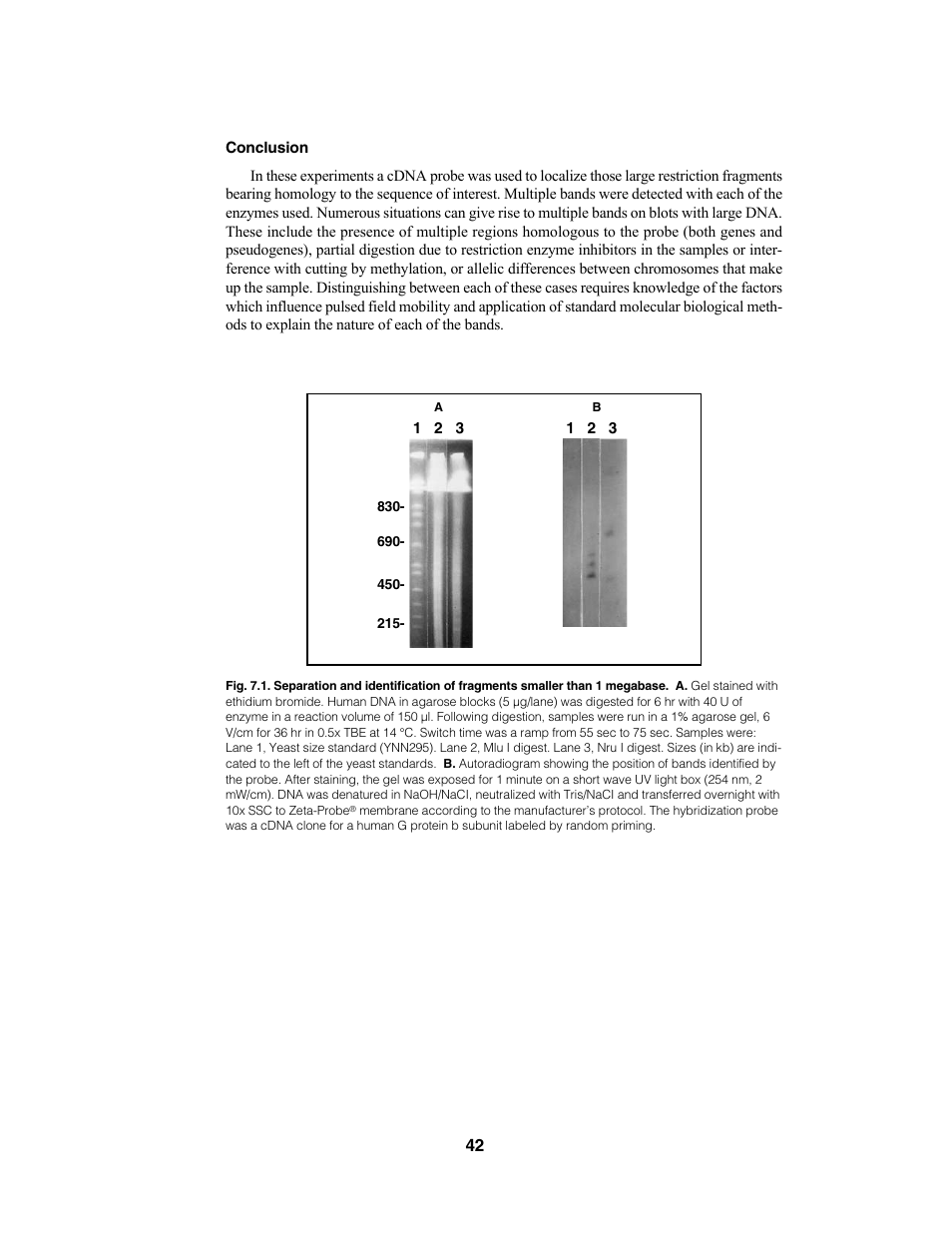 Bio-Rad CHEF Mapper® XA System User Manual | Page 46 / 74