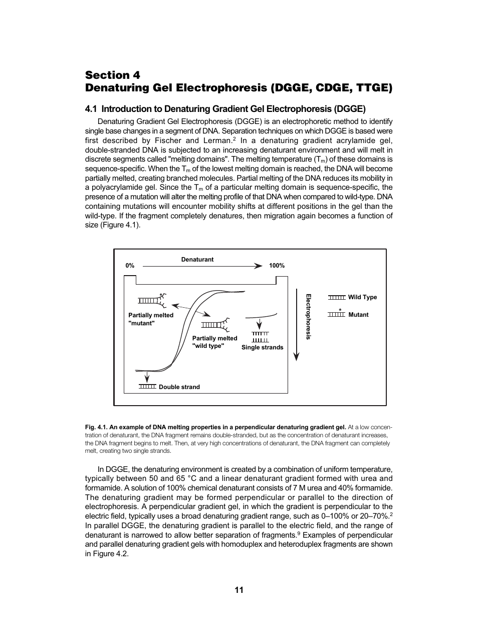 Bio-Rad DCode™ Universal Mutation Detection System User Manual | Page 15 / 92