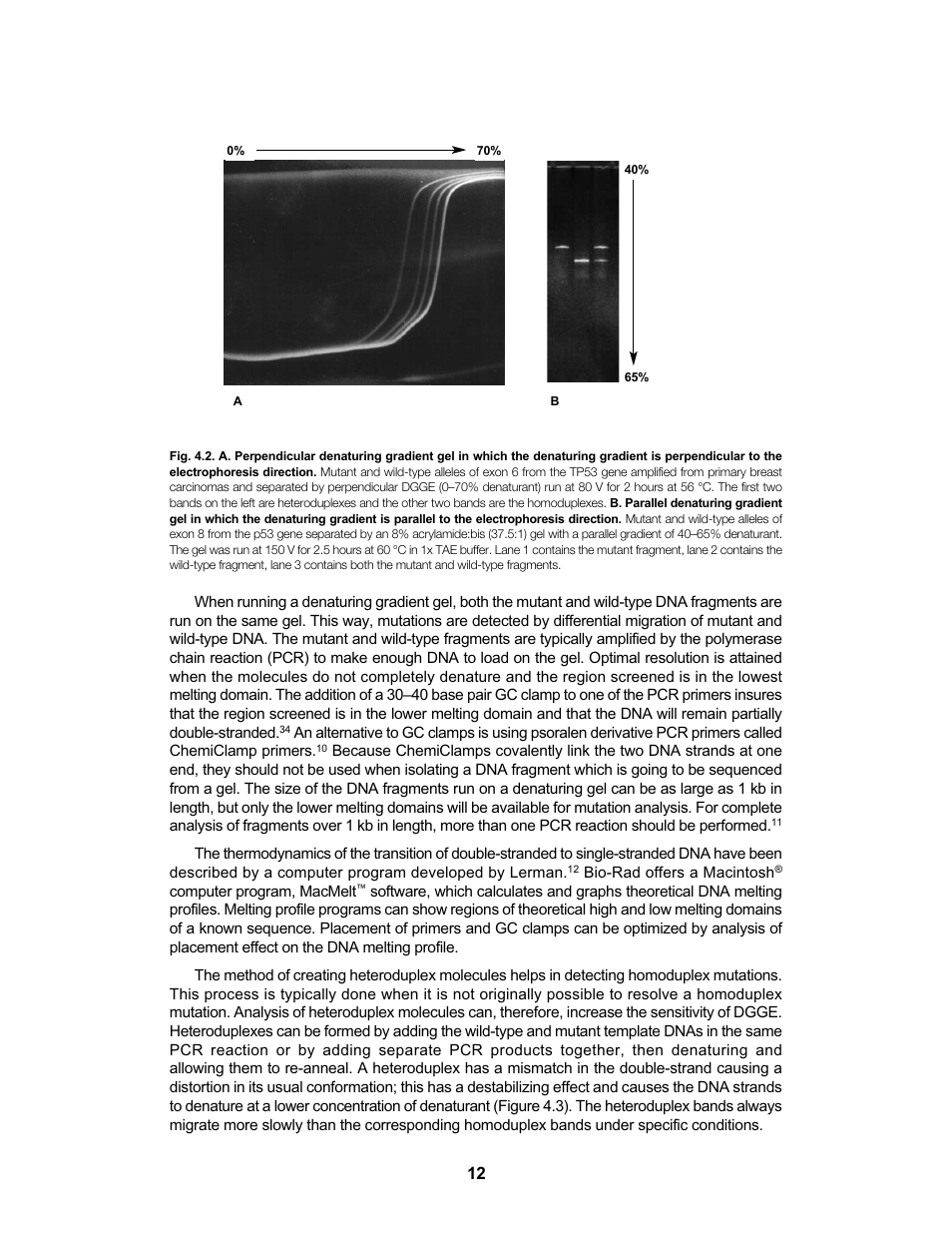 Bio-Rad DCode™ Universal Mutation Detection System User Manual | Page 16 / 92