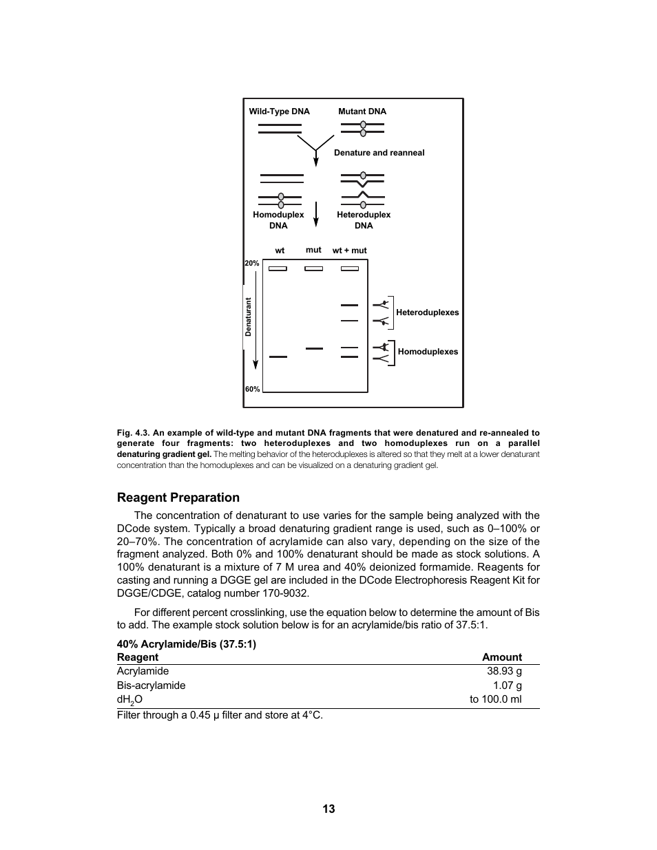 Reagent preparation | Bio-Rad DCode™ Universal Mutation Detection System User Manual | Page 17 / 92