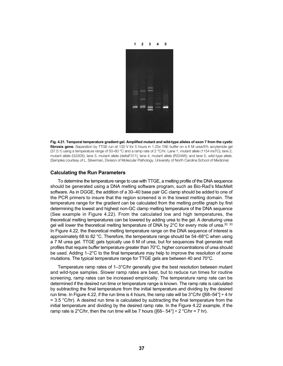 Bio-Rad DCode™ Universal Mutation Detection System User Manual | Page 41 / 92