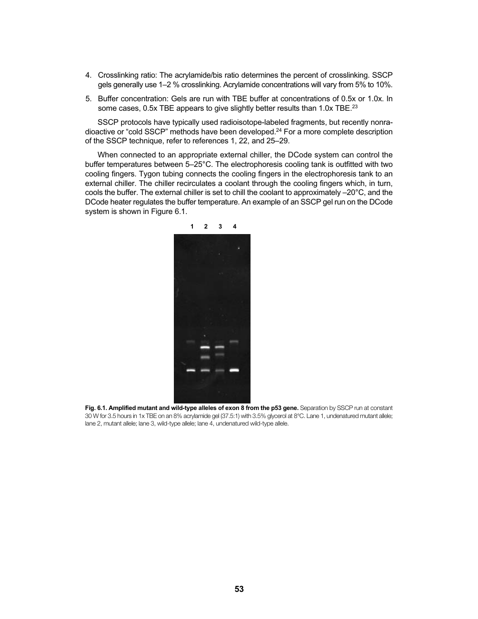 Bio-Rad DCode™ Universal Mutation Detection System User Manual | Page 57 / 92