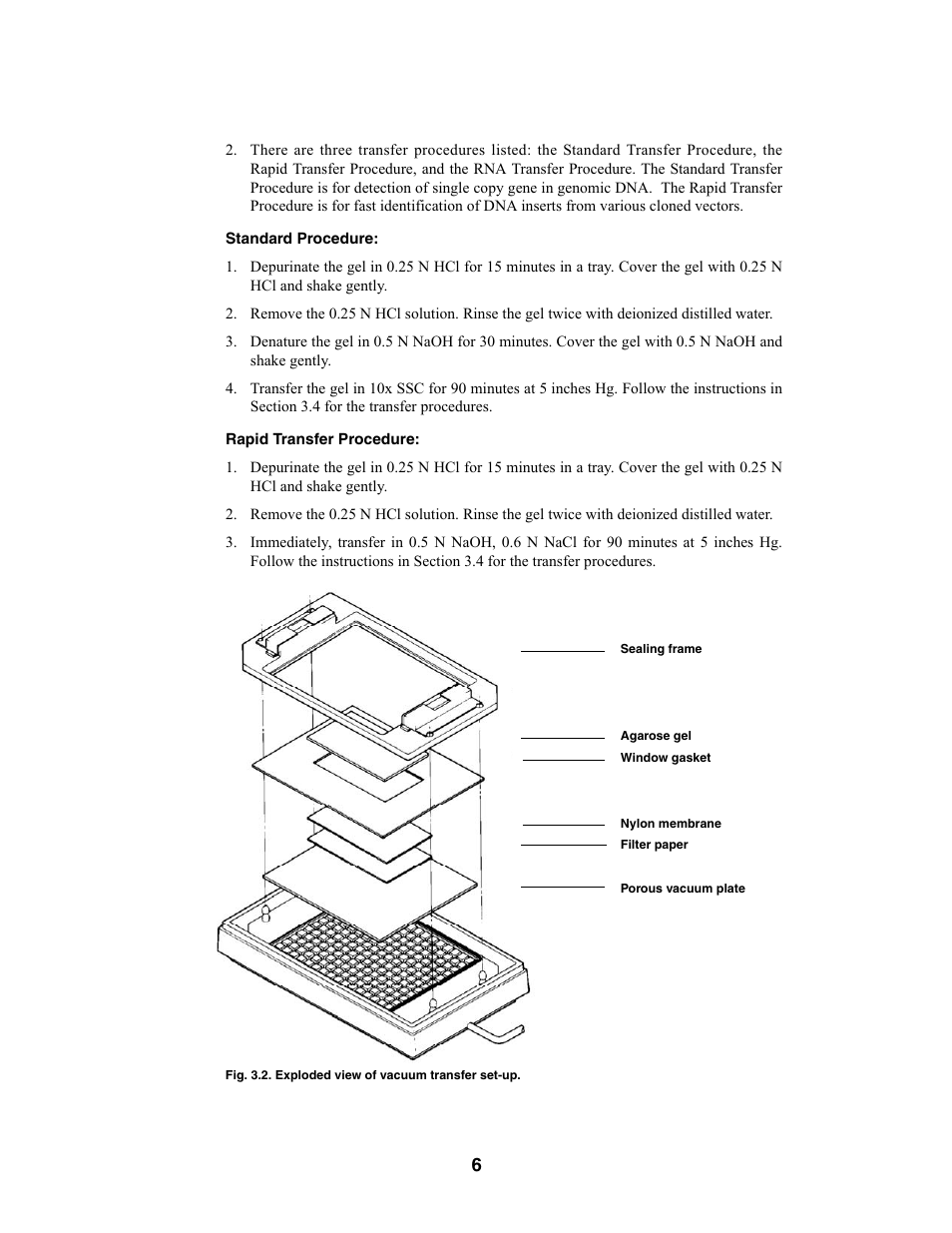 Bio-Rad Model 785 Vacuum Blotter User Manual | Page 10 / 22