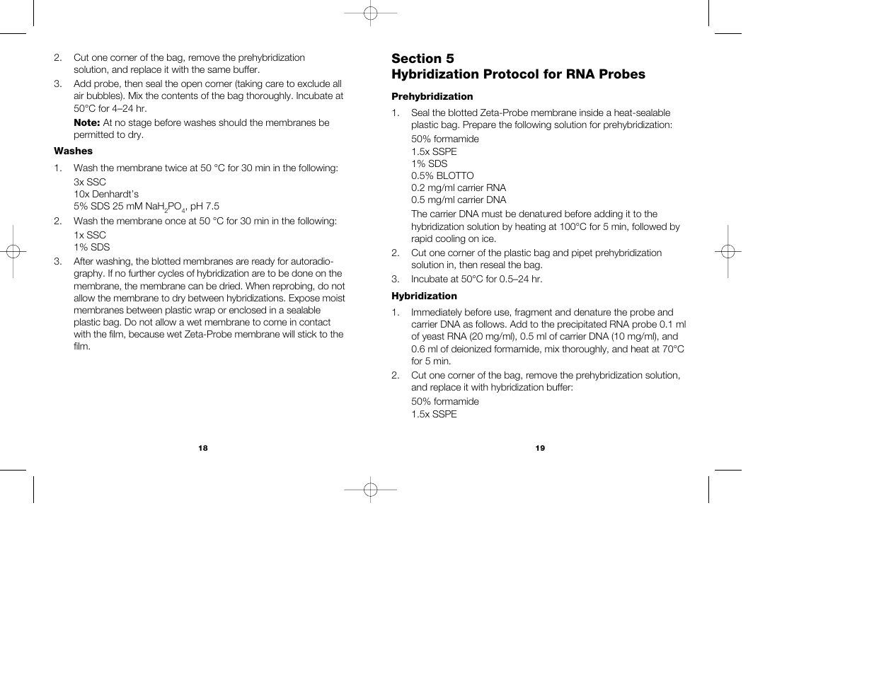 Bio-Rad Zeta-Probe Membranes User Manual | Page 12 / 17