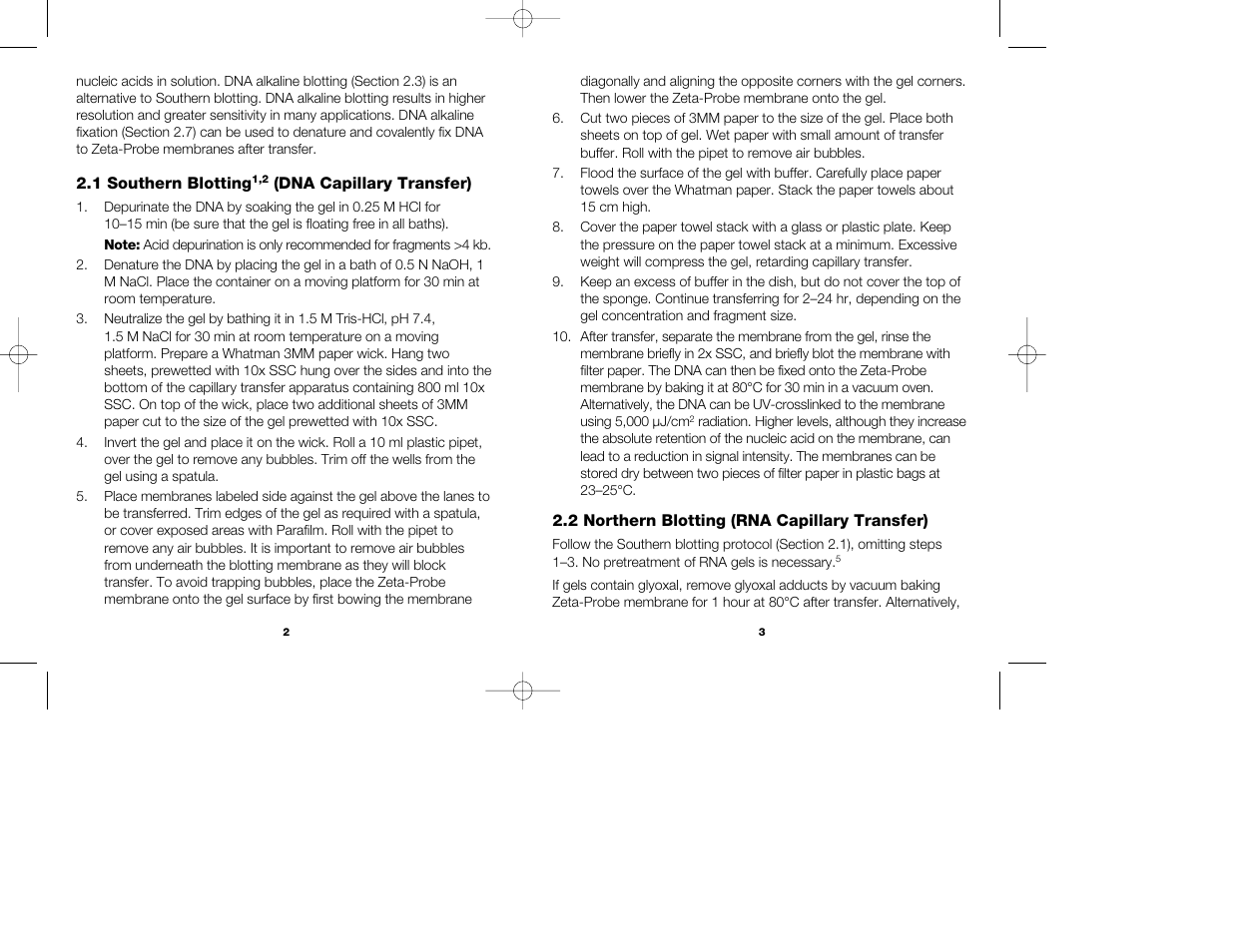 Bio-Rad Zeta-Probe Membranes User Manual | Page 4 / 17