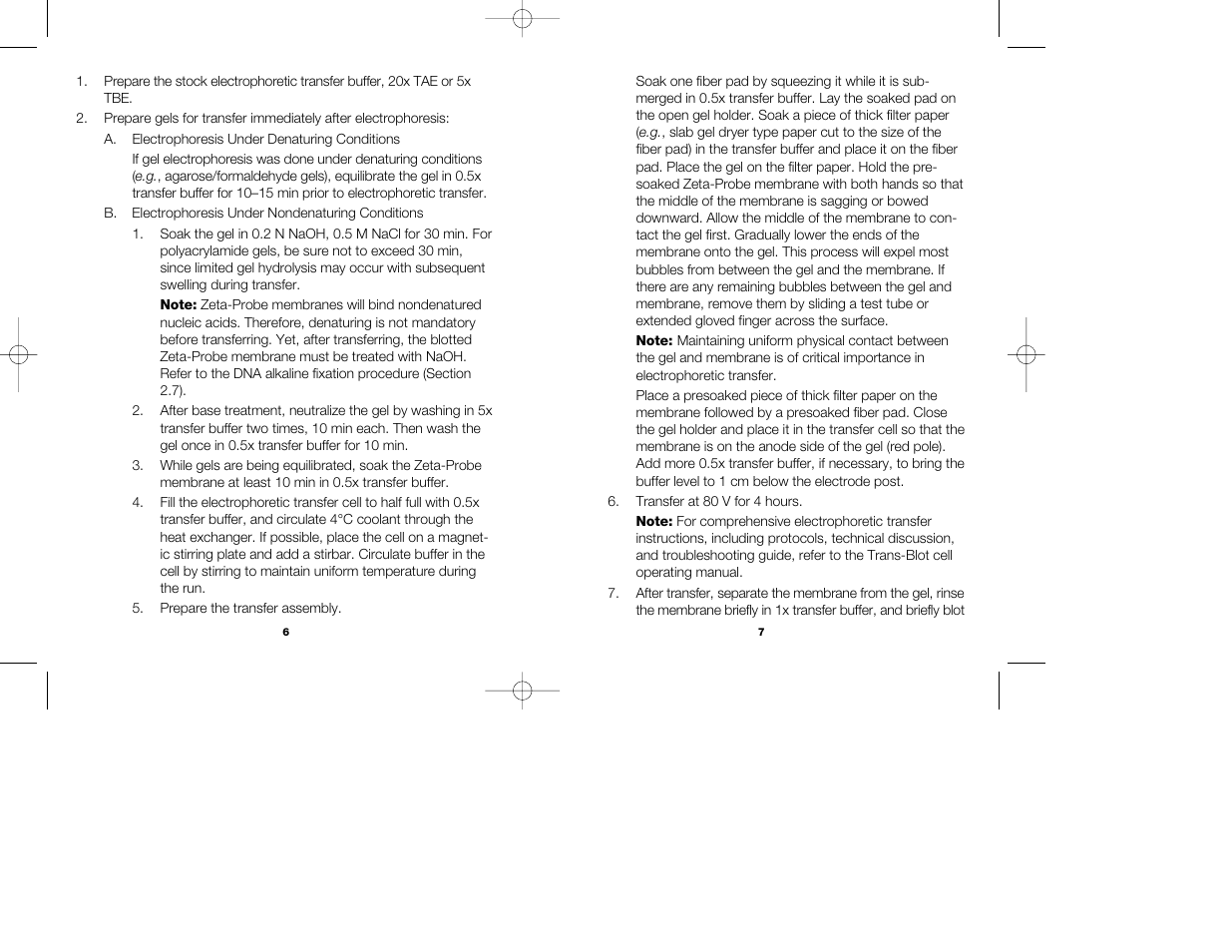 Bio-Rad Zeta-Probe Membranes User Manual | Page 6 / 17