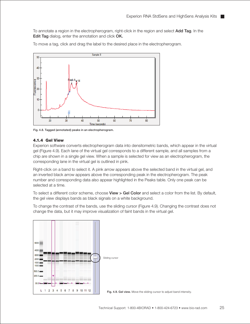 4 gel view | Bio-Rad Experion RNA Analysis Kits User Manual | Page 29 / 64