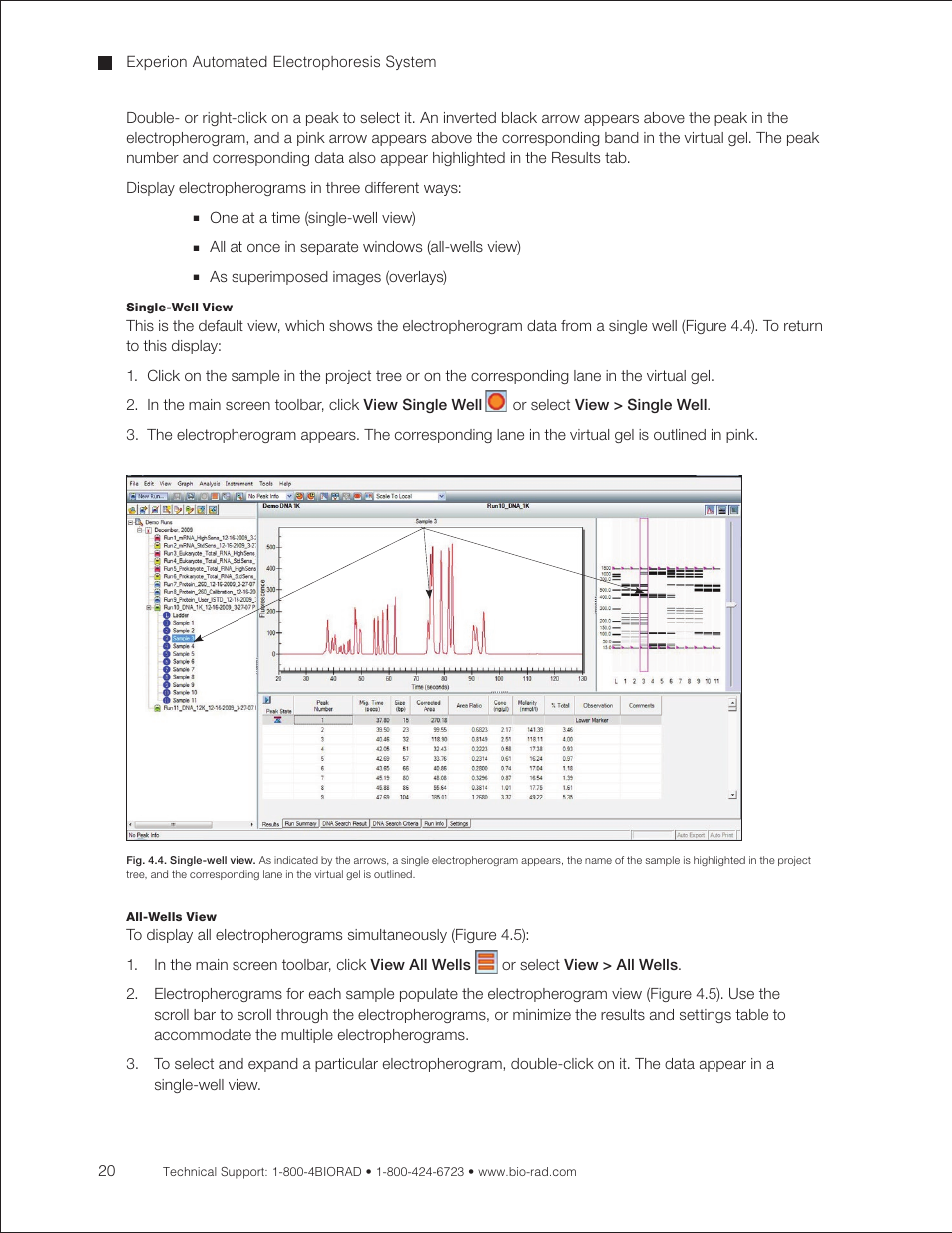 Bio-Rad Experion DNA Analysis Kits User Manual | Page 24 / 60