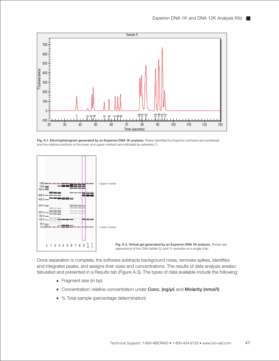 Fragment size (in bp) | Bio-Rad Experion DNA Analysis Kits User Manual | Page 51 / 60