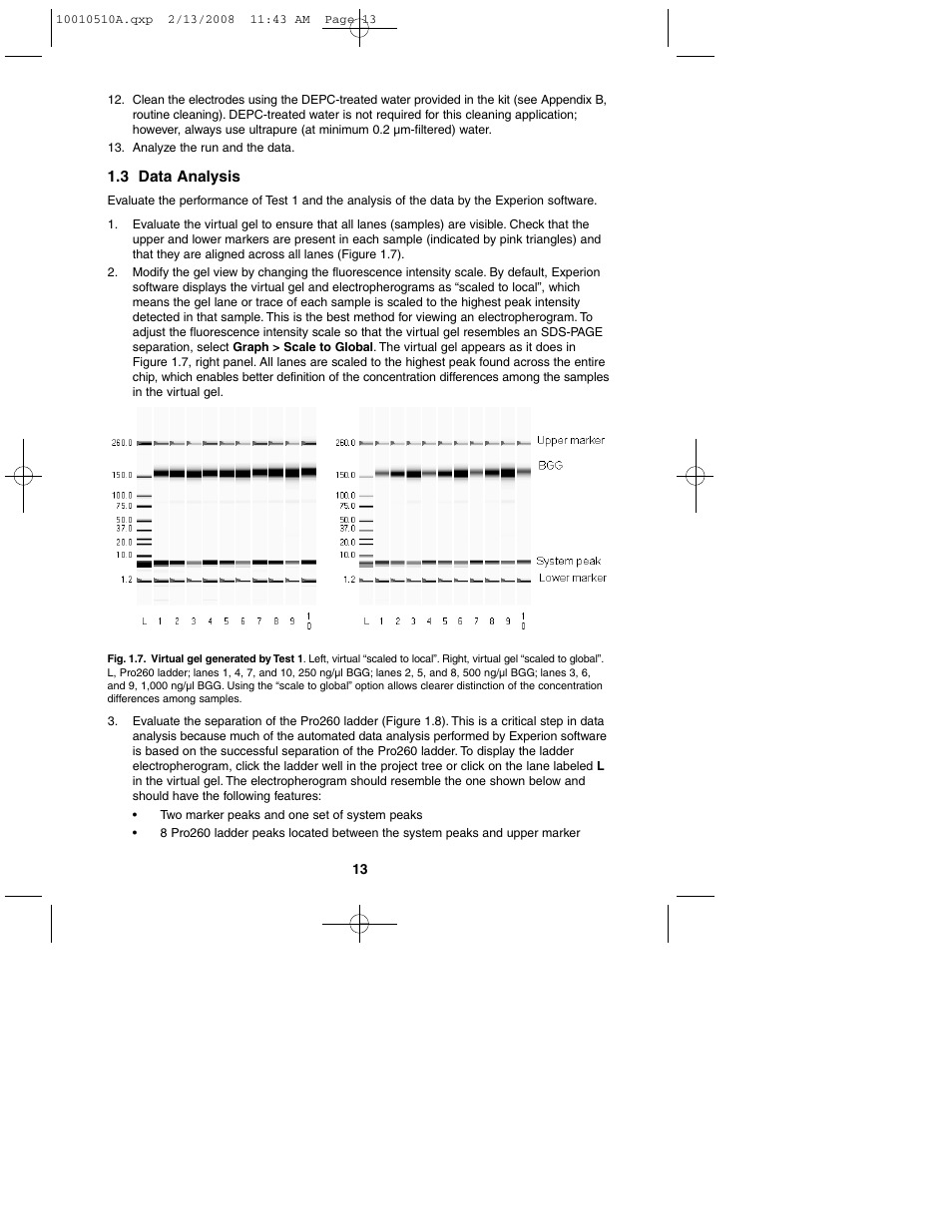 Bio-Rad Experion Protein Analysis Kits User Manual | Page 17 / 40