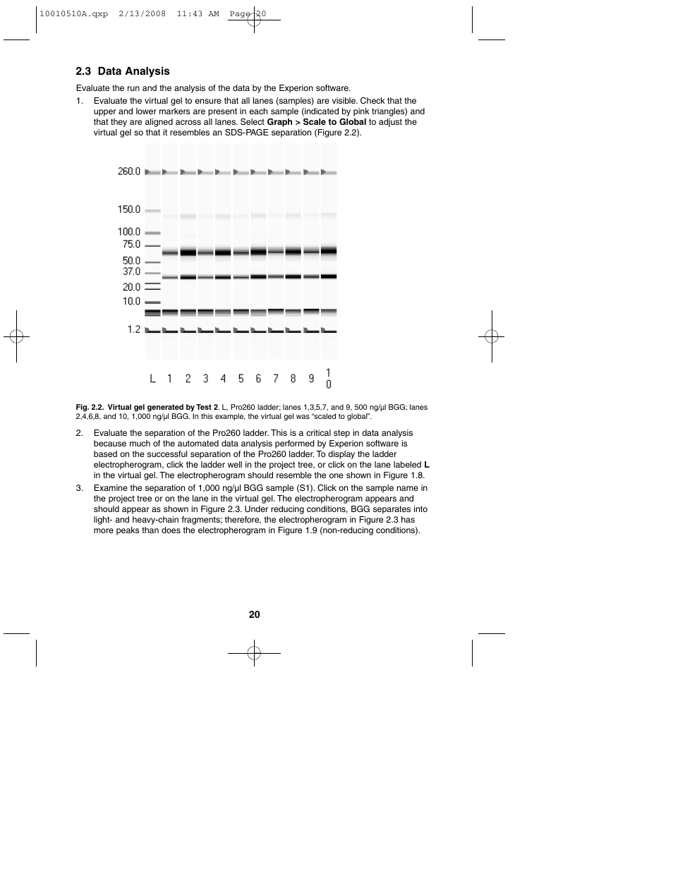 Bio-Rad Experion Protein Analysis Kits User Manual | Page 24 / 40