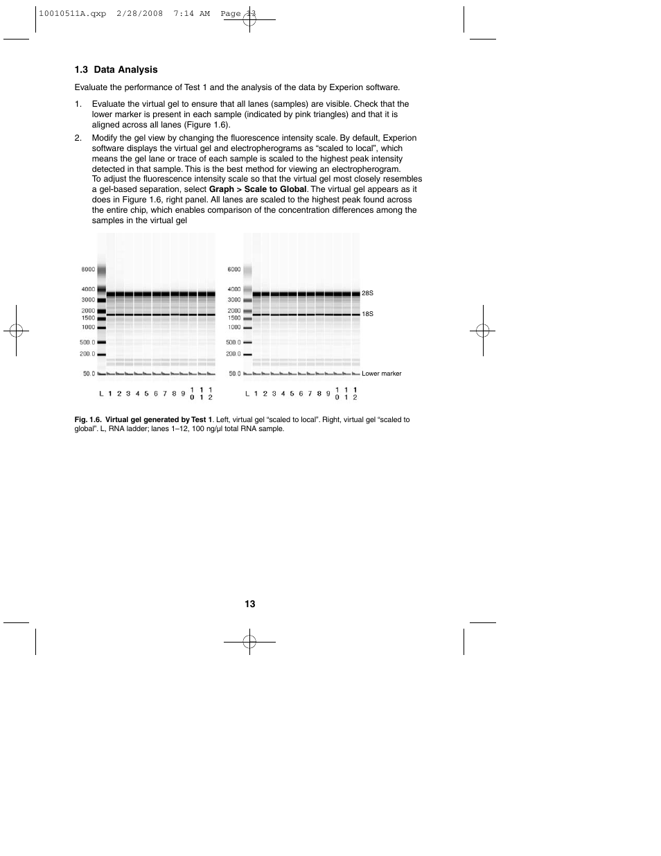 Bio-Rad Experion Protein Analysis Kits User Manual | Page 17 / 38