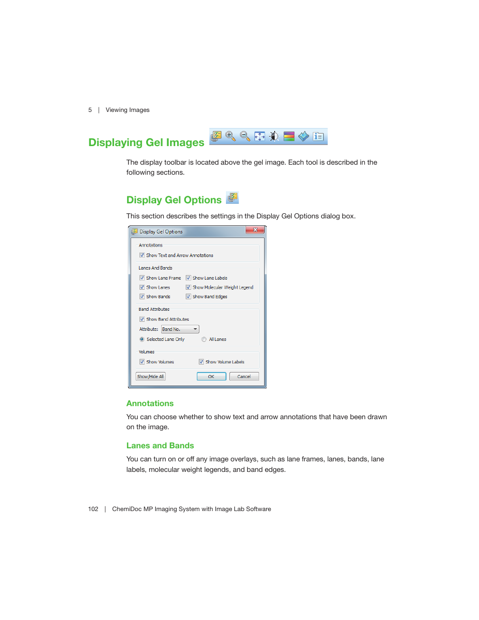 Displaying gel images, Display gel options | Bio-Rad Image Lab™ Software User Manual | Page 102 / 260