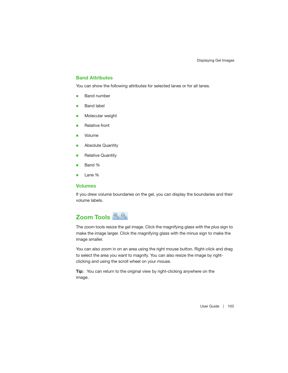 Zoom tools | Bio-Rad Image Lab™ Software User Manual | Page 103 / 260