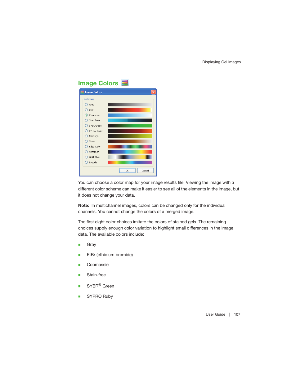 Image colors | Bio-Rad Image Lab™ Software User Manual | Page 107 / 260