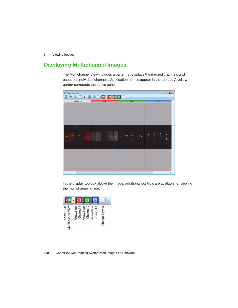 Displaying multichannel images | Bio-Rad Image Lab™ Software User Manual | Page 110 / 260