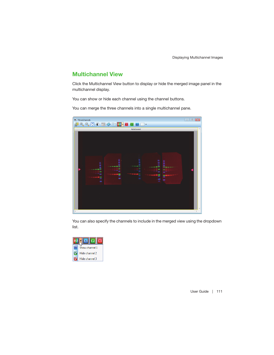 Multichannel view | Bio-Rad Image Lab™ Software User Manual | Page 111 / 260
