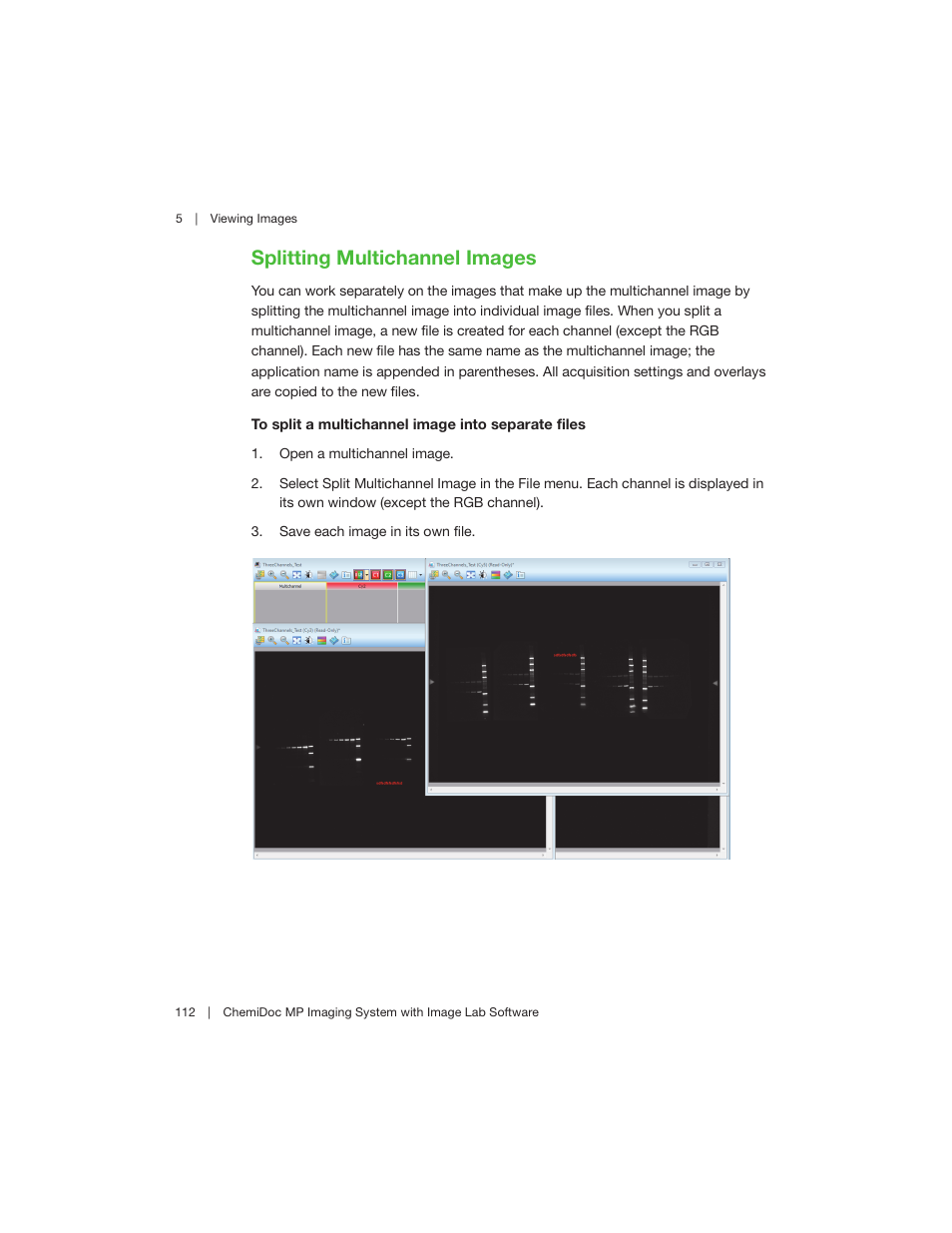 Splitting multichannel images | Bio-Rad Image Lab™ Software User Manual | Page 112 / 260