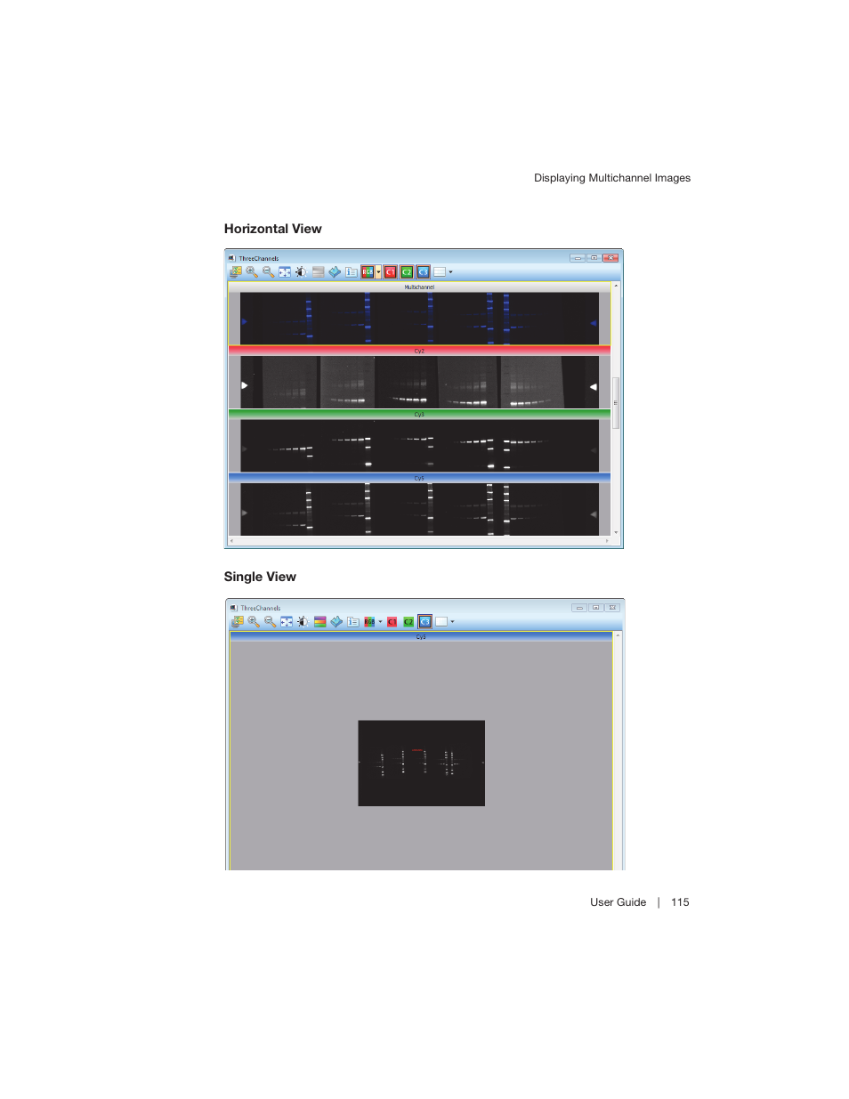 Bio-Rad Image Lab™ Software User Manual | Page 115 / 260