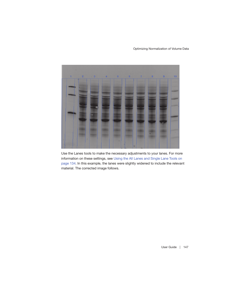 Bio-Rad Image Lab™ Software User Manual | Page 147 / 260