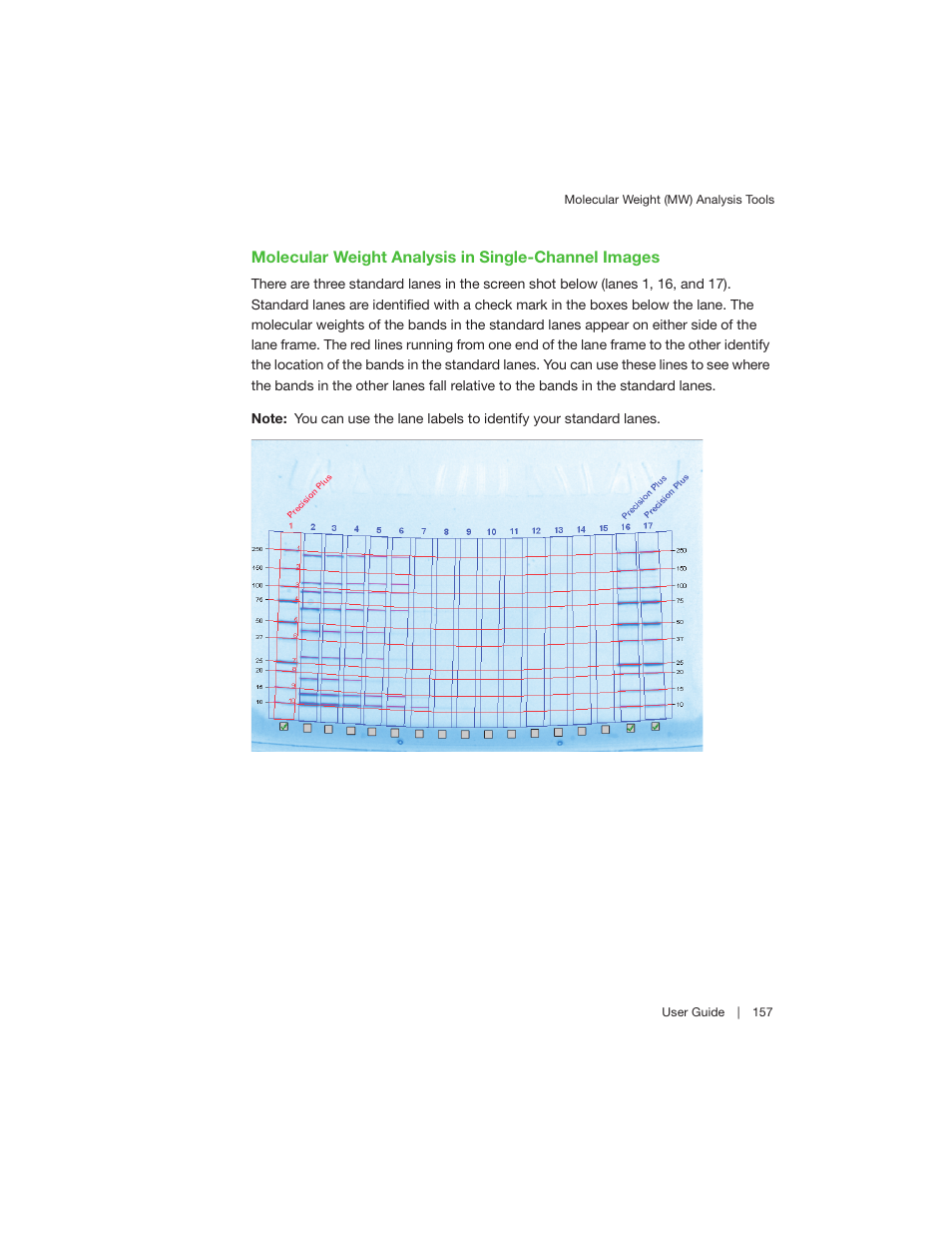 Bio-Rad Image Lab™ Software User Manual | Page 157 / 260