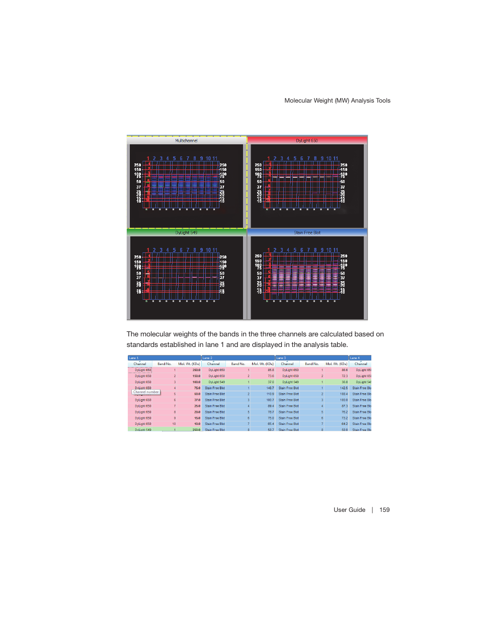 Bio-Rad Image Lab™ Software User Manual | Page 159 / 260