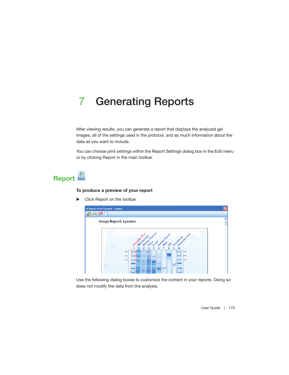 7 generating reports, Report, Chapter 7 generating reports | 7generating reports | Bio-Rad Image Lab™ Software User Manual | Page 175 / 260