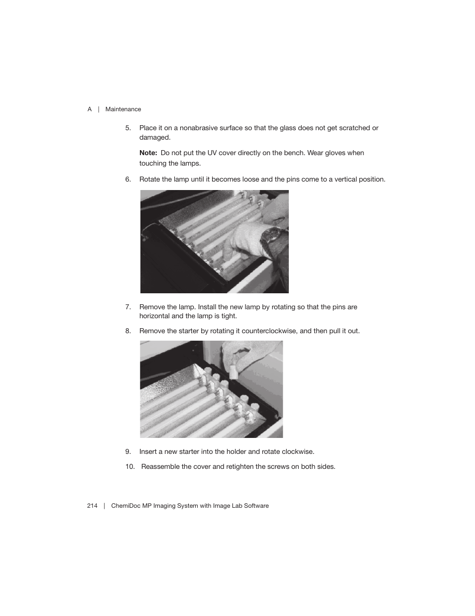 Bio-Rad Image Lab™ Software User Manual | Page 214 / 260
