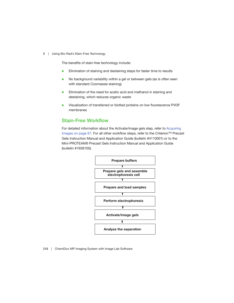 Stain-free workflow | Bio-Rad Image Lab™ Software User Manual | Page 248 / 260
