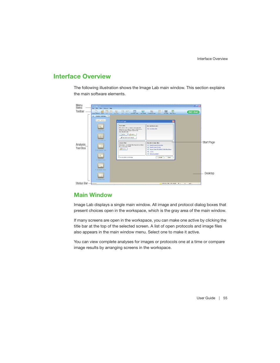Interface overview, Main window | Bio-Rad Image Lab™ Software User Manual | Page 55 / 260