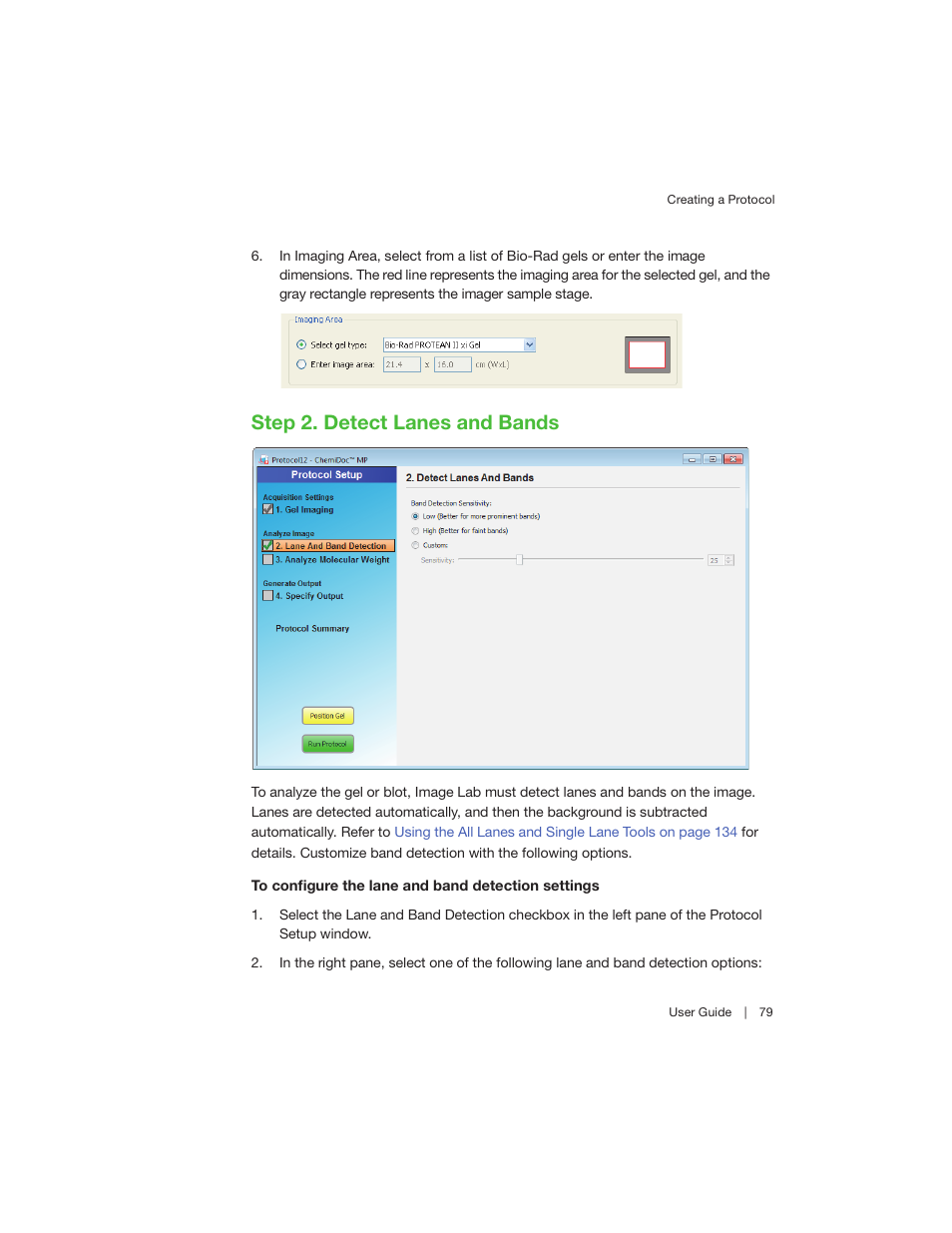 Step 2. detect lanes and bands | Bio-Rad Image Lab™ Software User Manual | Page 79 / 260
