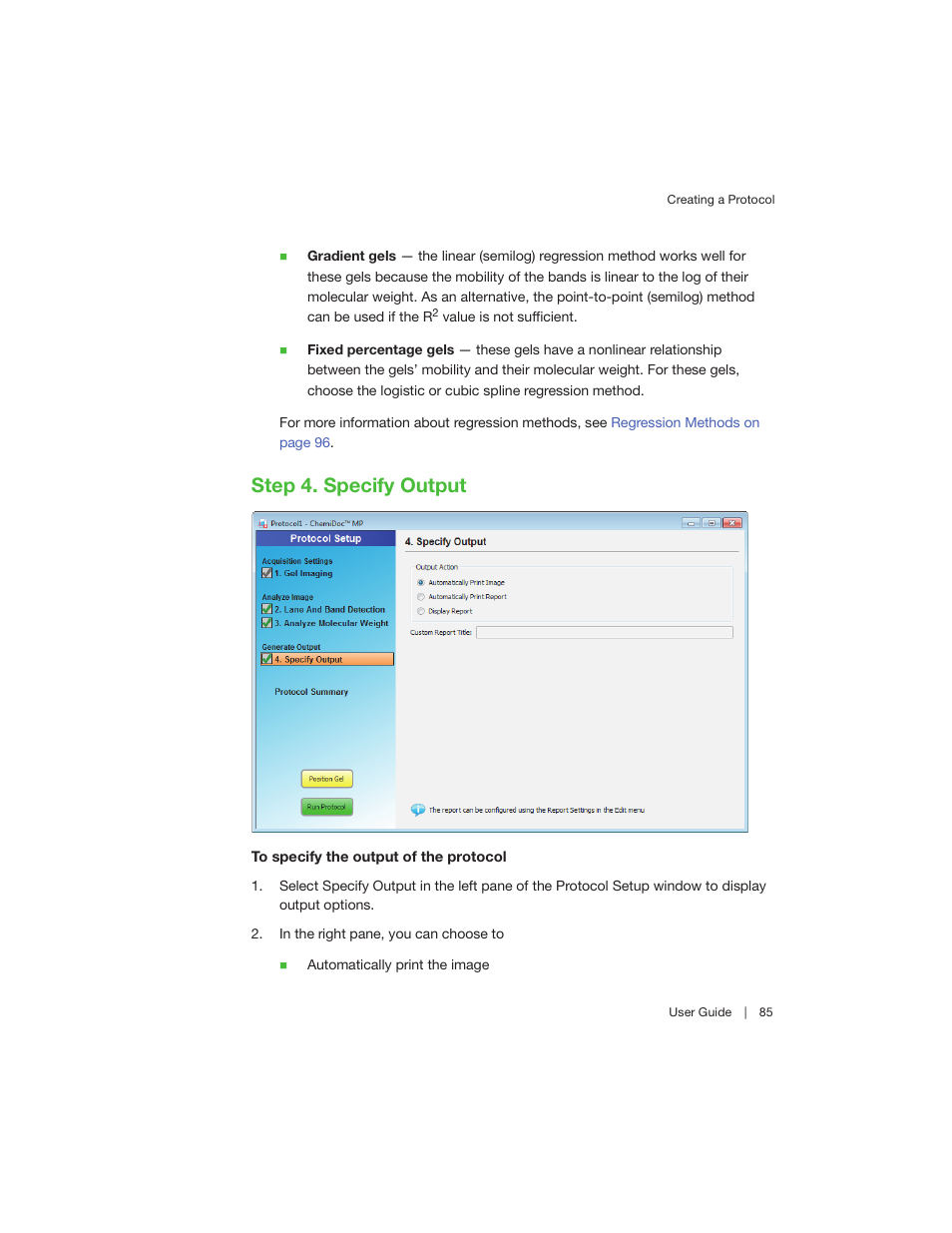 Step 4. specify output | Bio-Rad Image Lab™ Software User Manual | Page 85 / 260