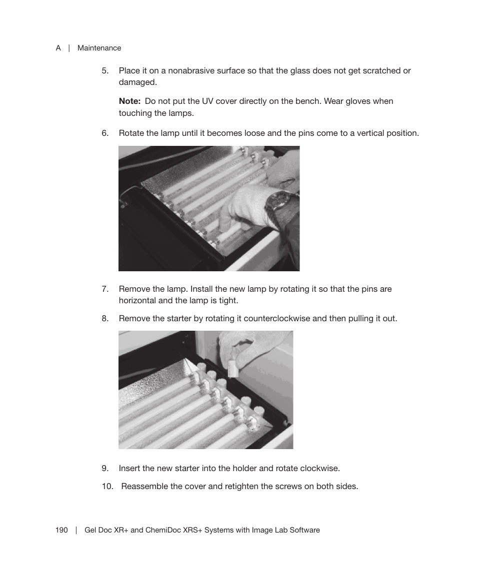 Bio-Rad Image Lab™ Software User Manual | Page 190 / 236