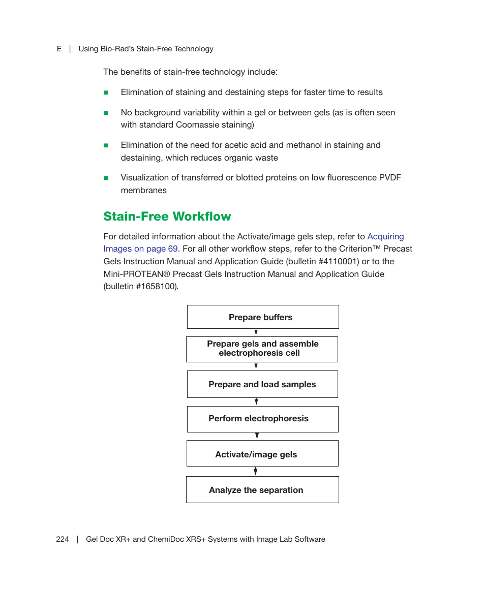 Stain-free workflow | Bio-Rad Image Lab™ Software User Manual | Page 224 / 236