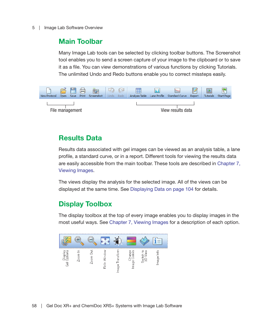 Main toolbar, Results data, Display toolbox | Main toolbar results data display toolbox | Bio-Rad Image Lab™ Software User Manual | Page 58 / 236