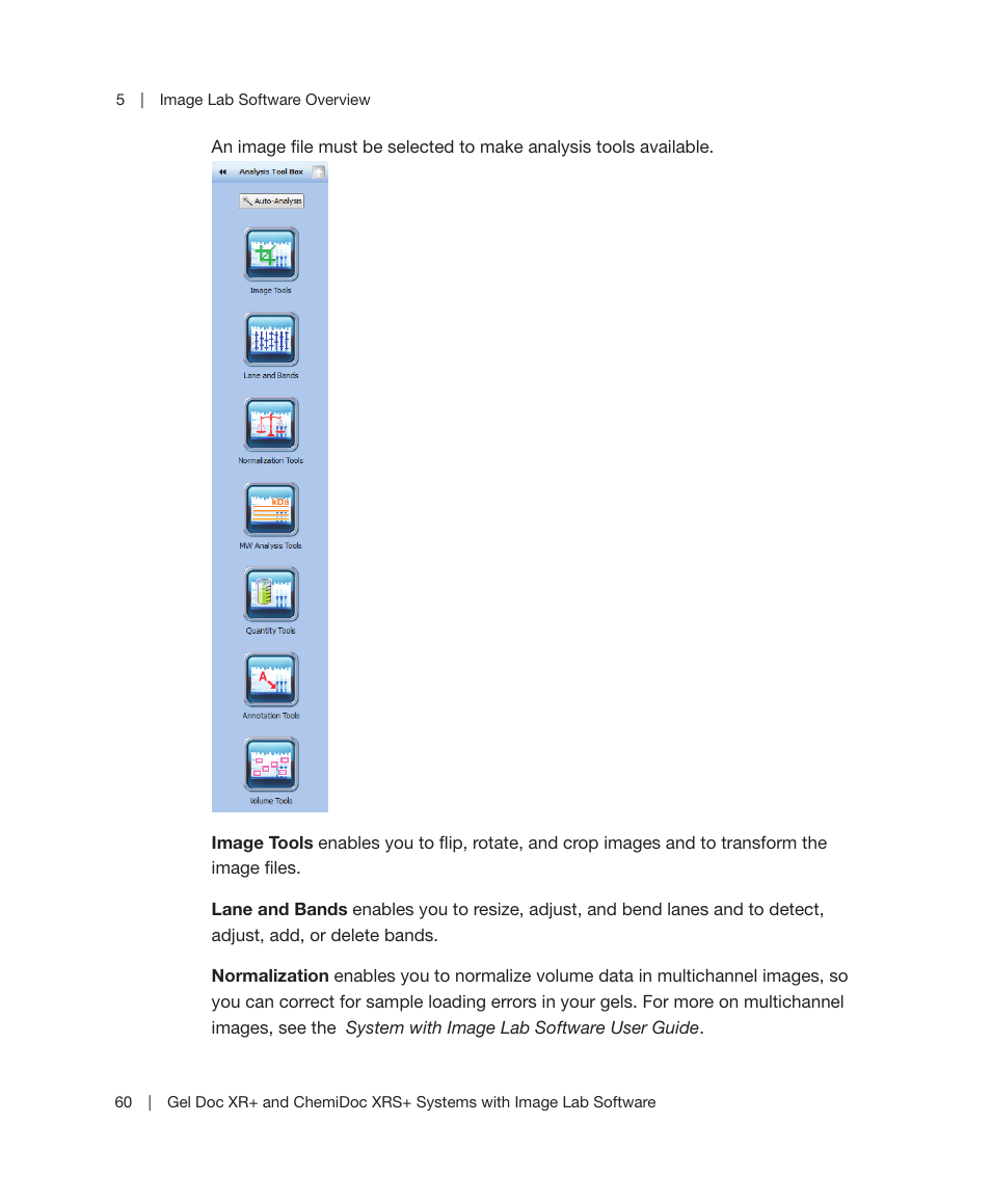 Bio-Rad Image Lab™ Software User Manual | Page 60 / 236