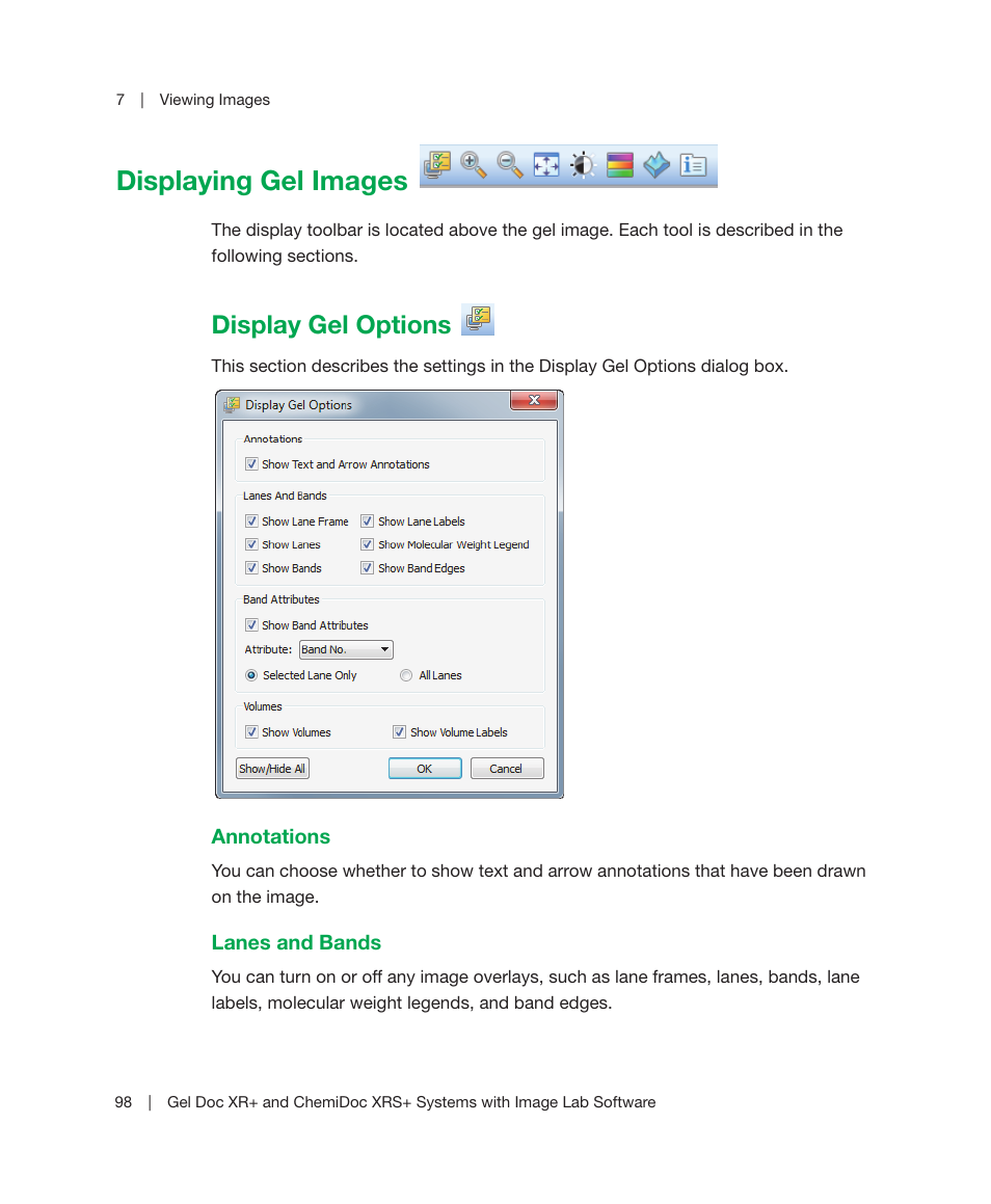 Displaying gel images, Display gel options | Bio-Rad Image Lab™ Software User Manual | Page 98 / 236