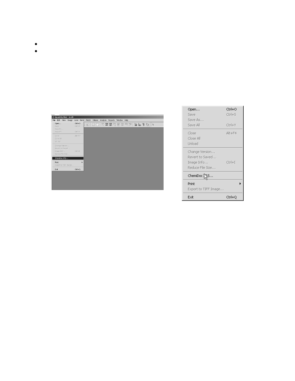 Bio-Rad Gel Doc™ XR+ System User Manual | Page 37 / 50