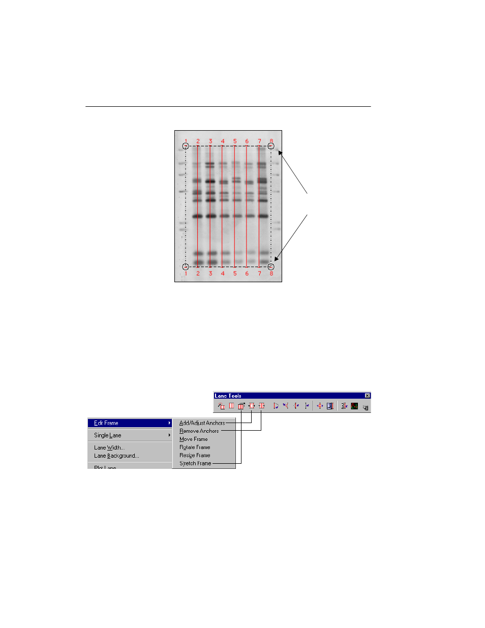 B editing the frame | Bio-Rad Quantity One 1-D Analysis Software User Manual | Page 101 / 444