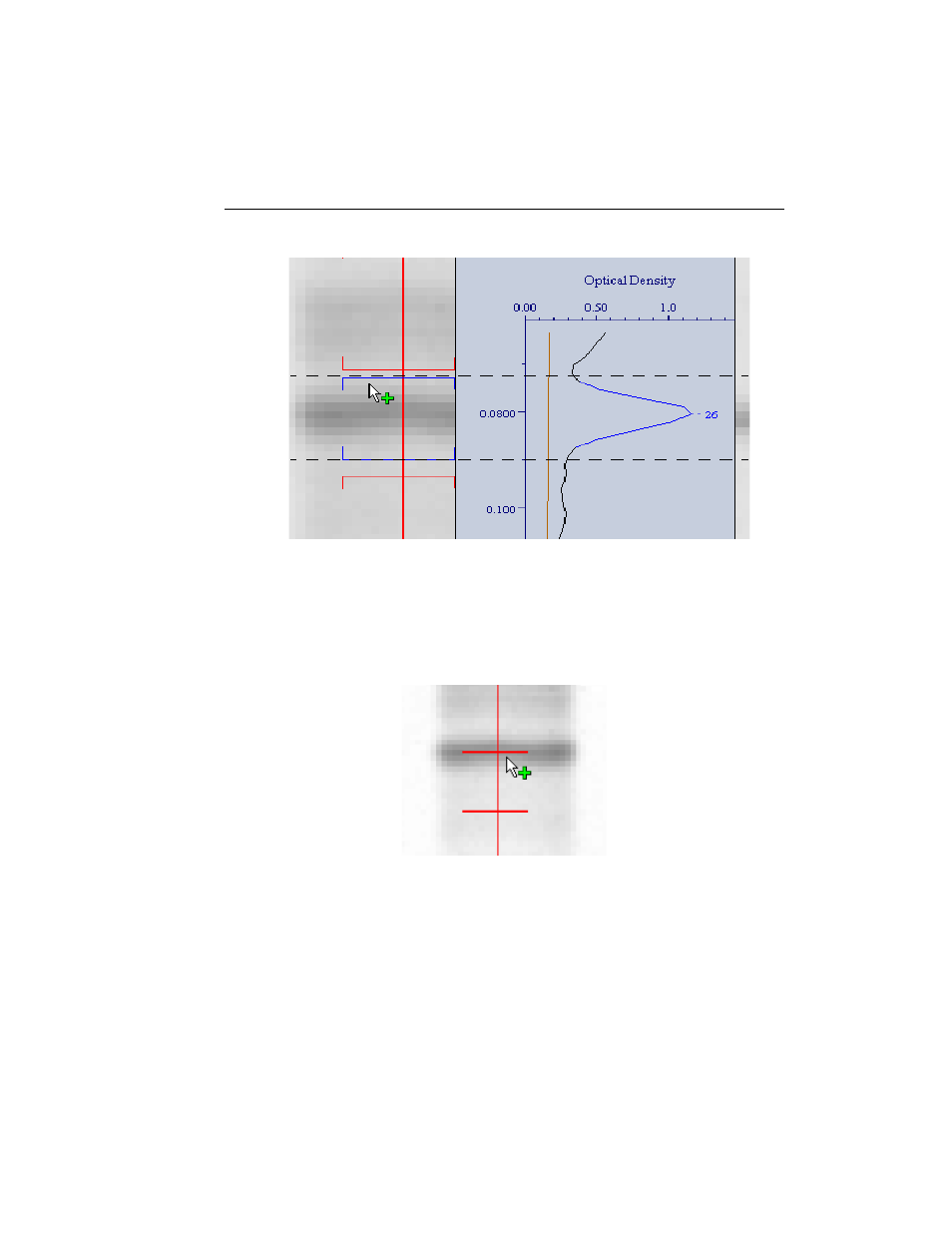 Bio-Rad Quantity One 1-D Analysis Software User Manual | Page 128 / 444