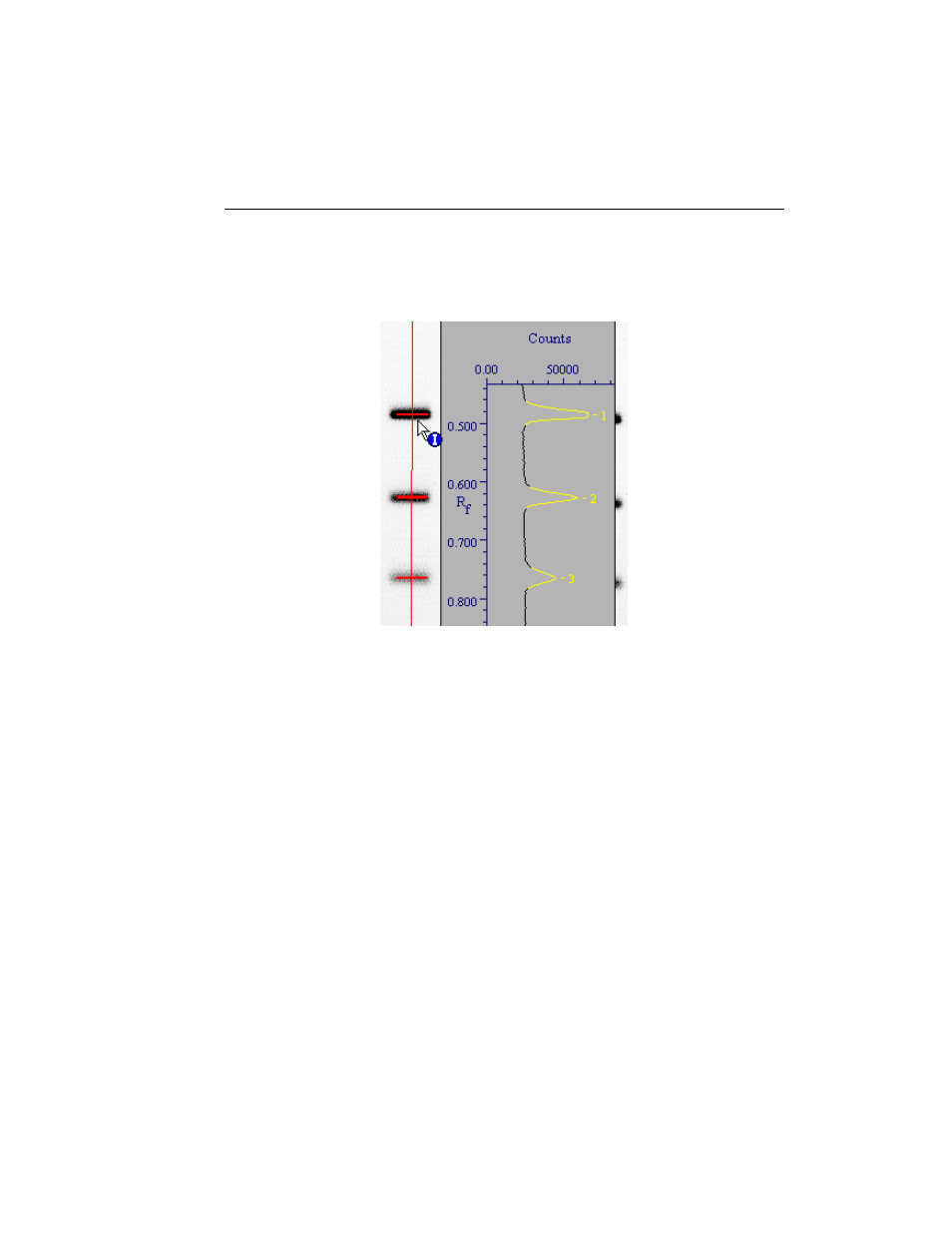 5 band attributes, Band attributes -13 | Bio-Rad Quantity One 1-D Analysis Software User Manual | Page 130 / 444